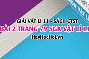 Giải bài 2 trang 79 Vật lý 11 SGK Chân trời sáng tạo